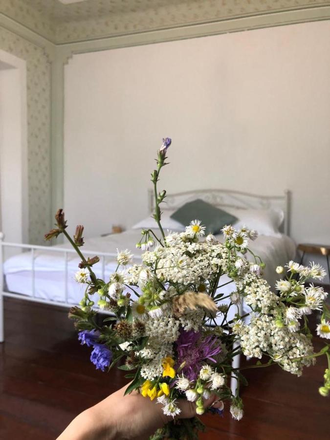 Texas House Guest House โนวาชิ-สเตรยนี ภายนอก รูปภาพ